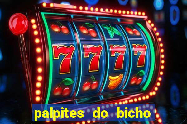 palpites do bicho no celular